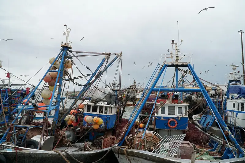 Blue fishing boats in the port of Essaouira