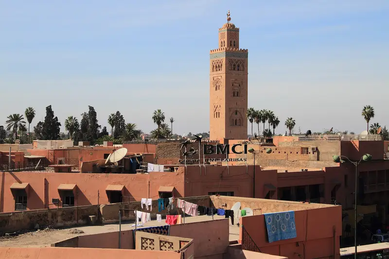 The Koutoubia minaret rising above palm trees in Marrakech