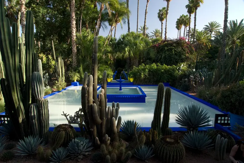 Cobalt-blue villa and cacti in the Jardin Majorelle, Marrakech